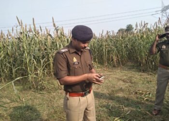 बाजरे के खेत में मिली युवती की लाश