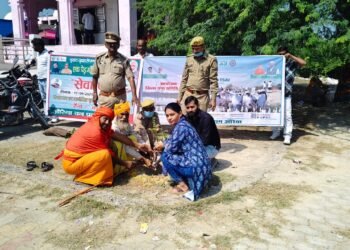 महामाई मंदिर परिसर में चला स्वच्छता अभियान: ‘एक दिन, एक साथ, एक घंटा’ के तहत श्रमदान और पौधारोपण