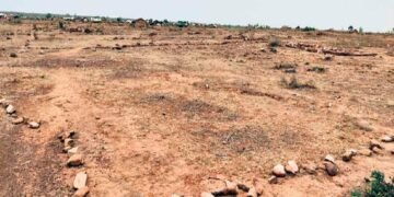 उपजिलाधिकारी के आदेश की अवहेलना, दबंग भू-माफिया बेखौफ कर रहे  ज़मीन पर अवैध कब्ज़ा